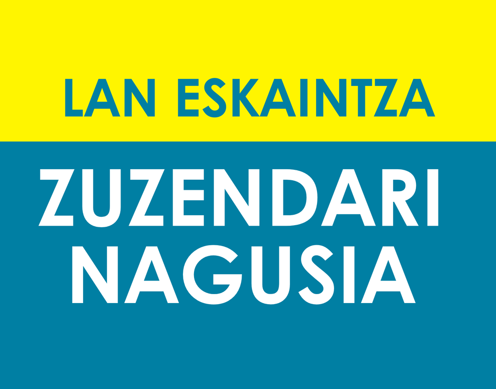 Lan eskaintza - Zuzendaria